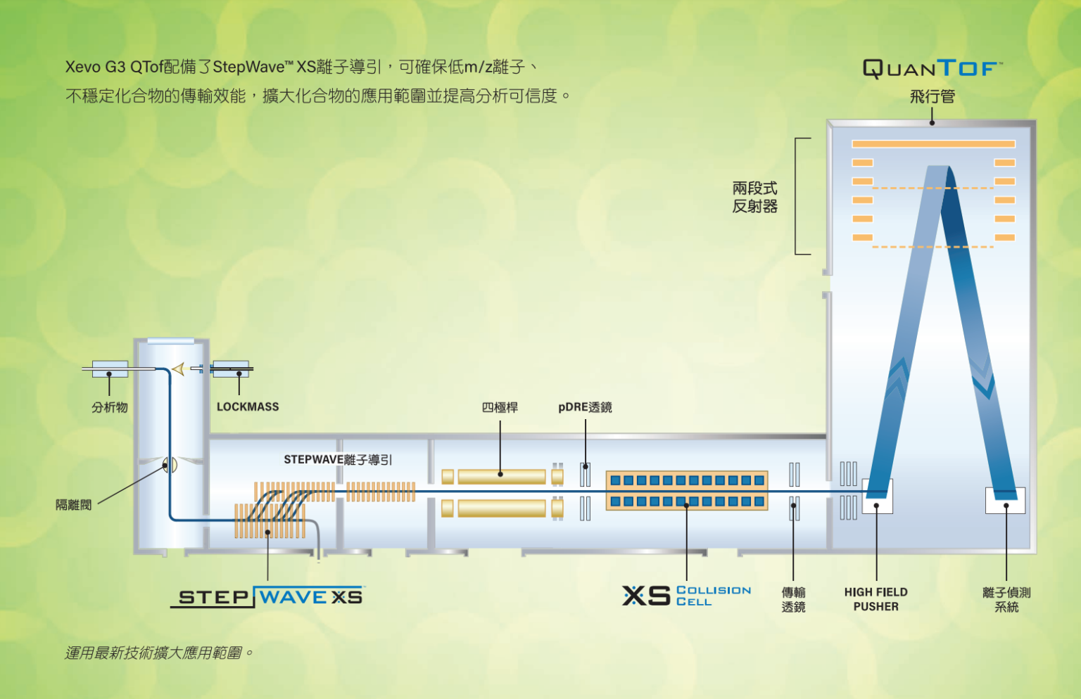 液相層析四極桿飛行時間質譜儀